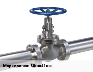 Задвижка нержавеющая 30нж41нж